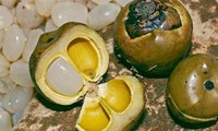 Cây dại xưa không ai ngó nay thành đặc sản đắt khách