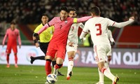 ‘Qatar dẫn đầu cuộc đua đăng cai Asian Cup 2023, Indonesia đuối nhất’