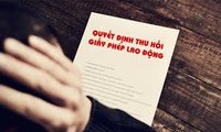 Rút giấy phép 2 công ty xuất khẩu lao động