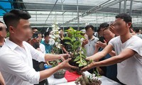 Lan đột biến giá trăm tỷ có sự thao túng tạo giao dịch ảo?
