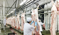 Giá lợn giảm xuống mức kỷ lục, đề xuất siết nhập khẩu thịt ngoại