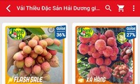 Lô vải thiều Hải Dương xuất khẩu đầu tiên chính thức cập bến Nhật Bản