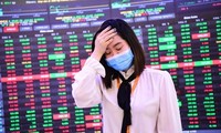 Cổ phiếu ngân hàng 'đỏ rực' sau khi ồ ạt hạ lãi suất