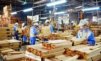 Doanh nghiệp gỗ 'tắc thở' vì sụt giảm đơn hàng, chậm hoàn thuế VAT