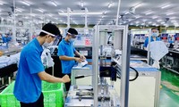 Doanh nghiệp FDI sản xuất 3 tại chỗ ở Bình Dương. Ảnh: HƯƠNG CHI