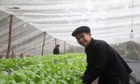 Phó Bí thư chi Đoàn bản Nghè, Hoàng Xuân Mau chăm sóc vườn rau thủy canh