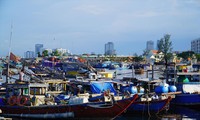 Nhiều tàu thuyền tại Đà Nẵng chuẩn bị vươn khơi sau thời gian nằm bờ vì giá xăng dầu tăng cao. Ảnh: Thái Lâm