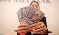 Doanh nghiệp thủy sản chủ yếu vay USD để giao dịch với khách hàng quốc tế. Ảnh: Ngọc Mai