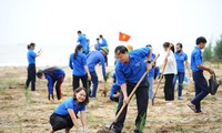 Trung ương Đoàn phát động trồng cây tại bãi biển ở Nghệ An. Ảnh: Dương Triều