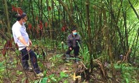Nơi phát hiện thi thể ở Đắk Nông. Ảnh: VKSND