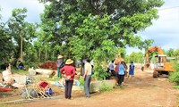 Đang cưỡng chế 64 công trình trái phép trên đất cà phê ở Đắk Lắk