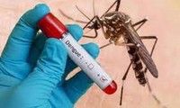 Đắk Lắk ghi nhận ca tử vong do sốt xuất huyết đầu tiên trong năm 