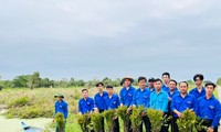 Trồng 200.000 cây tràm giống tại Vườn Quốc gia U Minh hạ