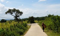 Chương trình mục tiêu quốc gia giảm nghèo là chương trình nhân văn