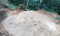 Lạ kỳ những khối đá khắc cổ có hình ruộng bậc thang ở Mù Cang Chải