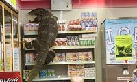 Phiên bản đời thực của đế vương bất tử Godzilla khiến con người khiếp vía