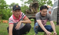 Hoài Linh khuyên Dương Triệu Vũ về cách làm nghệ sĩ