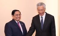 Singapore trở thành nước đầu tư lớn thứ hai vào Việt Nam với tổng vốn đăng ký hơn 67,5 tỷ USD
