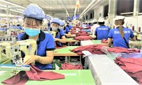 Công nhân sản xuất tại một doanh nghiệp ở Bình Dương. Ảnh: H.C
