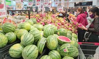 Giá xăng dầu tăng cao kỷ lục: Điều hành thế nào? 