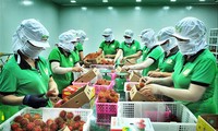 Nhiều DN bày tỏ mong muốn các bộ, ngành cần có chính sách mạnh mẽ hỗ trợ DN; địa phương cần thống nhất quy định về di chuyển