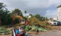 Lực lượng chức năng quận Sơn Trà thực hiện cưỡng chế thu hồi đất vào sáng ngày 9/12 Ảnh: Nguyễn Thành 