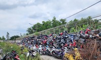 Chậm xử lý xe vi phạm: Lãng phí tài sản quá lớn