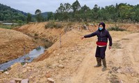 Hồ Thanh Niên bị đổ đất, lấn chiếm gần 4.000m2 