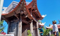 Xử lý mối nơi tam quan chùa đảo Sơn Ca ảnh: Trần Tuấn 