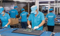 Công ty Asanzo bị Cục thuế TPHCM phạt, truy thu hàng tỷ đồng, chuyển hồ sơ sang cơ quan điều tra truy cứu trách nhiệm hình sự 