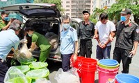 Lực lượng chức năng Việt Nam kiểm tra lô ma túy katamine thu giữ hồi đầu tháng 5/2019 Ảnh: Văn Minh