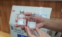 Thuốc giải độc được sử dụng cho bệnh nhân ngộ độc Botulinum tại Bệnh viện Bạch MaiNguồn: VTV 
