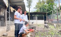 &apos;Hạt giống đỏ&apos; thi khởi nghiệp, khởi sự kinh doanh tỉnh Đắk Lắk năm 2024