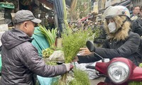 Hương mùi già về phố, báo hiệu Tết rất gần