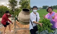 Trường Giang làm phụ hồ, Phương Thanh thu hoạch rau 