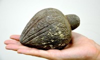 Quả lựu đạn khoảng 700 năm tuổi được tìm thấy dưới biển Israel. Ảnh: Amir.