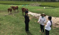 Đại diện Công ty TNHH Xử lý Chất thải Việt Nam cùng chính quyền địa phương xuống thăm hỏi tình hình làm ăn của các hộ gia đình được hỗ trợ nguồn vốn từ “Qũy hỗ trợ cộng đồng David Dương” tại huyện Thủ Thừa (tỉnh Long An).