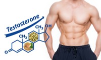 Testosterone suy giảm và giải pháp cải thiện từ thiên nhiên
