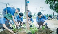 Tuổi trẻ Bình Dương ‘tô sắc’ đường phố dịp cuối tuần