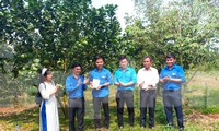 Bình Phước khởi động Tháng Thanh niên với chuỗi hoạt động ý nghĩa