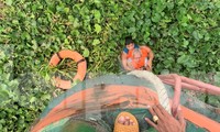 Cứu sống cụ ông nhảy cầu tự tử trên sông Sài Gòn