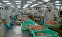 Nhiều doanh nghiệp cá tra đóng cửa hoặc giảm tối đa công suất. Ảnh: Cảnh Kỳ