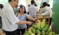 Chuyên gia Mỹ sang Việt Nam ‘gỡ khó’ khâu kiểm dịch trái cây xuất khẩu
