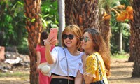 Giới trẻ thích thú vẻ đẹp vườn chà là sum suê trái ở miền Tây