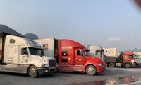 Các xe chở hàng được phép sang Trung Quốc chờ đến lượt thông quan sang bên kia biên giới Ảnh: Duy Chiến