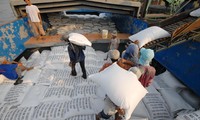 Doanh nghiệp kinh doanh gạo gặp khó khăn khi xuất khẩu ra thế giớiẢnh: CK