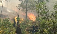 Gần 10 ha rừng thông của người dân Thanh Hóa bị thiêu rụi