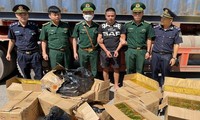 Bắt giữ vụ vận chuyển số lượng lớn pháo và gỗ trắc từ Lào về Việt Nam