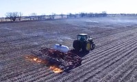 Lạ kỳ, nông dân Mỹ diệt cỏ dại bằng cách... phun lửa