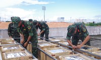 Bộ đội hối hả lắp hàng nghìn trái pháo cho Ngày hội Văn hóa - Du lịch ở Bạc Liêu